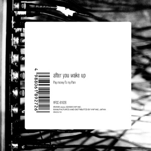 黄色网页在线播放
