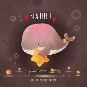 老师❌开腿让我爽一夜动漫
