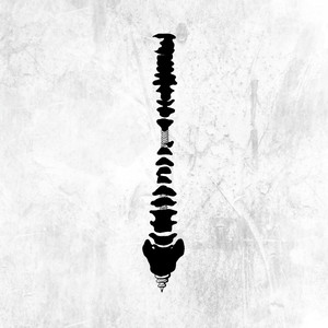 国产日逼特级视频
