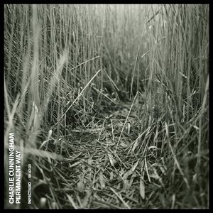 青青草蝌蚪窝91
