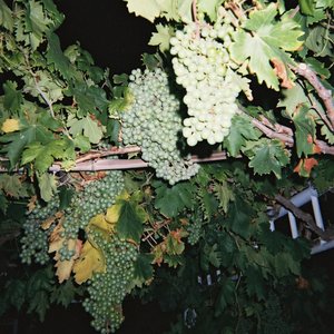 嫩BBB揉BBBB揉BBBB
