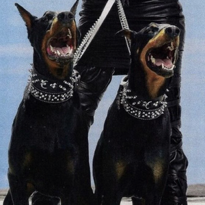 杨颖被❌到喷水18禁视频
