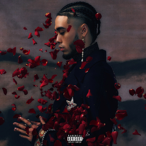 91美女裸体视频
