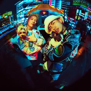 人妻猎人漫画免费观看韩漫驿站
