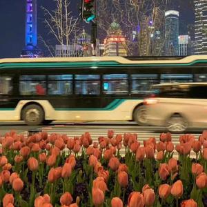 清纯校花的被擒日常小说类似
