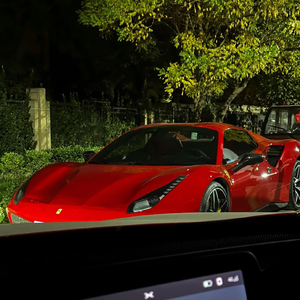 ass少妇picS粉嫩BBW
