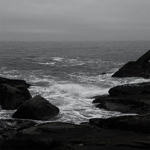 丰满多毛撒尿大隂户
