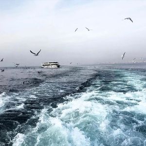 杨颖被❌到喷水18禁视频
