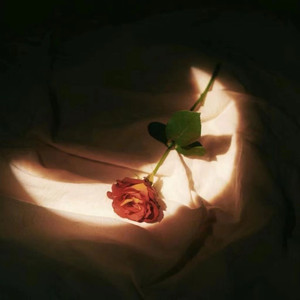 91美女裸体视频
