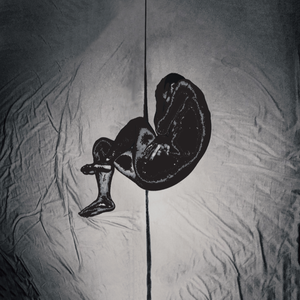 成人自拍视频网站
