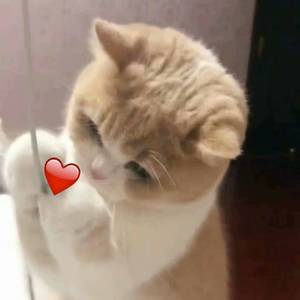 李毅吧第17期动态
