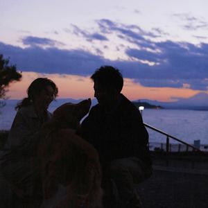 福利片在线观看
