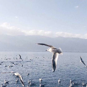 成人自拍视频网站
