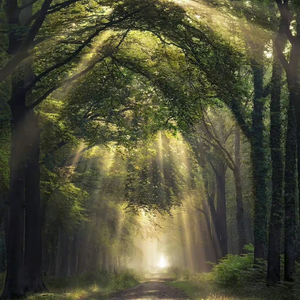 张瑞雪图片 比基尼
