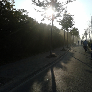 青青草蝌蚪窝91
