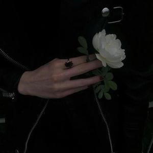 欧美大荫道大屁股XXXⅩ图片
