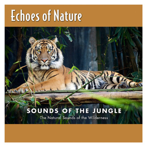 一级色情片和二级色情片
