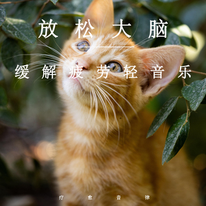 500部大龄熟胖乱视频
