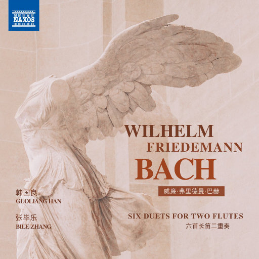 清纯校花的被擒日常小说类似
